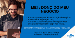 MEI: Dono do meu negócio.